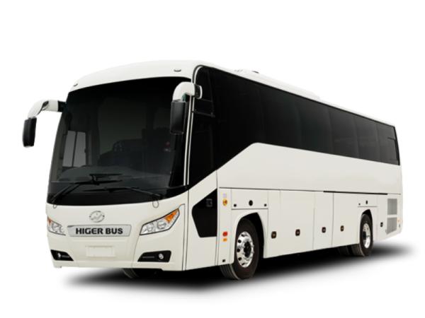 Van/Bus Higer Bus 37 Seats or Similar